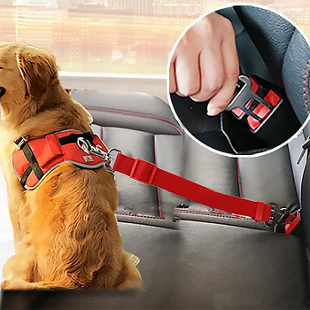 Sicherheitsgurt für Hunde im Auto
