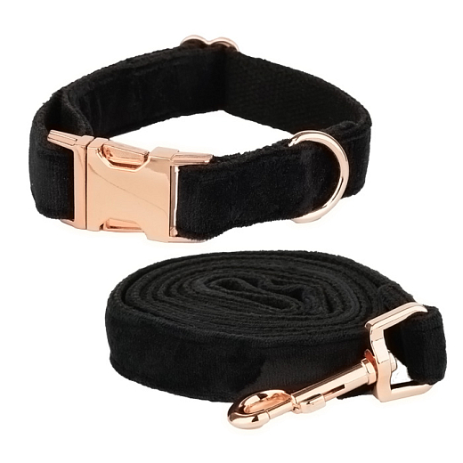 Halsband für Hunde Luxury Velvet Gold schwarz mit Leine